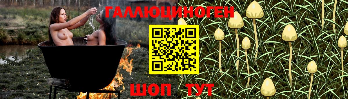 Псилоцибиновые грибы ЛСД  Вход с VPN  Галлюциногенные грибы GOLDEN TEACHER  Звенигород 