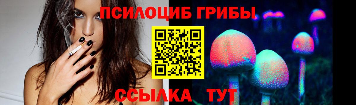 Галлюциногенные грибы Psilocybe Звенигород